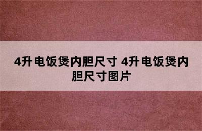 4升电饭煲内胆尺寸 4升电饭煲内胆尺寸图片